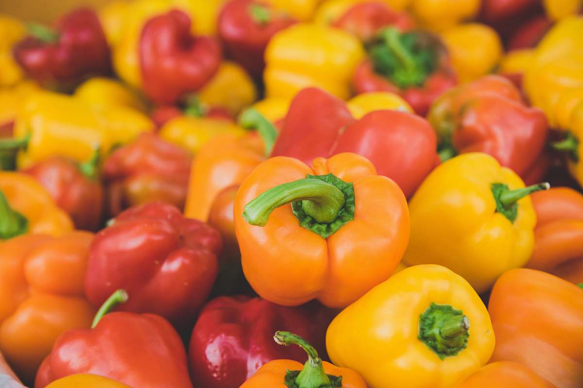 bell pepper orange and red bellpepper lot pepper